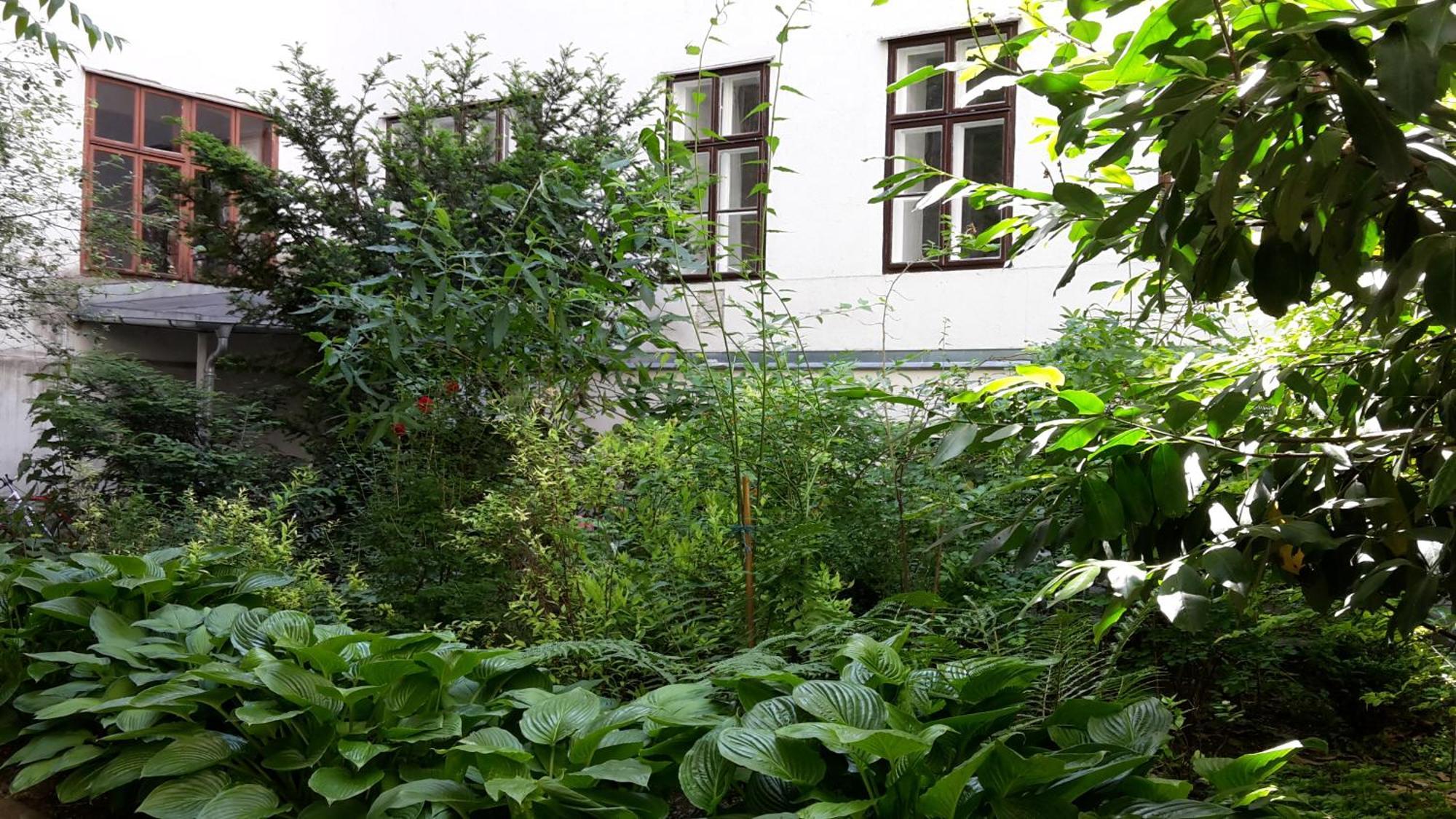 Apartment One Bedroom In Wien